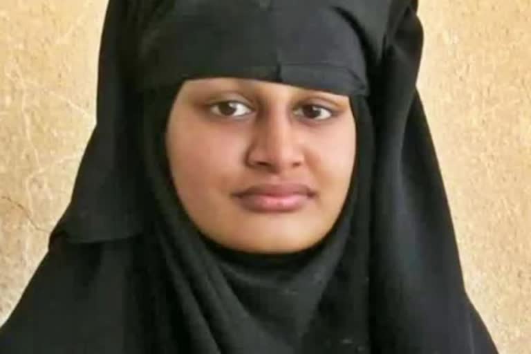 British woman Shamima Begum who joined ISIS as a teen