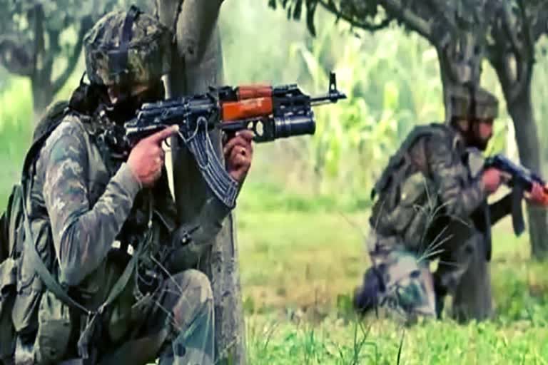 terrorist activities decreases in jammu and kashmir after the removal of article 370