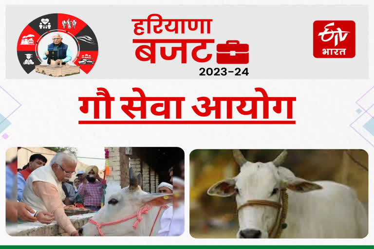 Budget of Haryana Gau Seva Commission increased