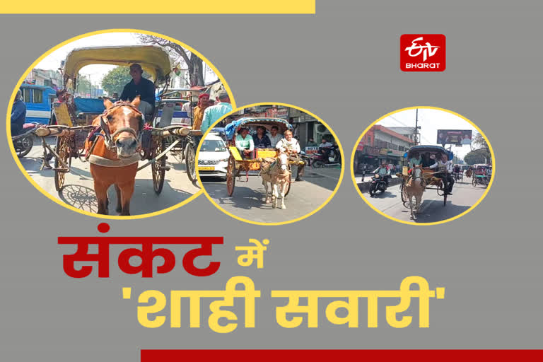 Horse Cart Ride verge of extinct in Haridwar