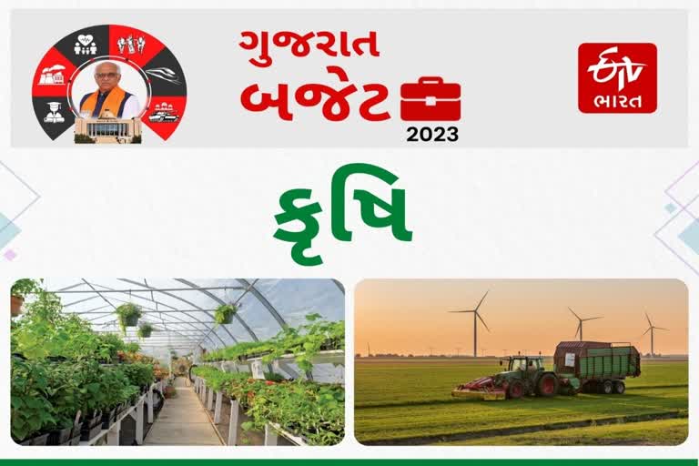 Gujarat Budget 2023 : બજેટમાં કૃષિ અને ખેડૂતો માટે 21,605 કરોડની જોગવાઈ, જૂઓ થઈ જાહેરાત