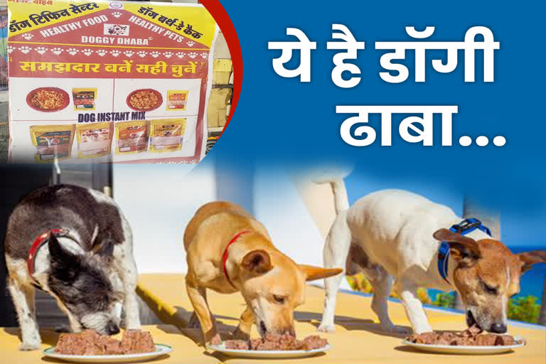 Gift of delicious food to dog for 7 rupees