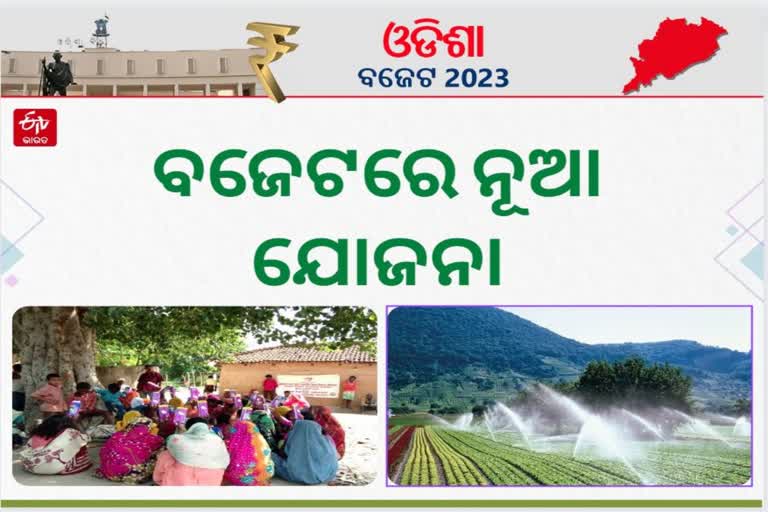 Odisha Budget 2023