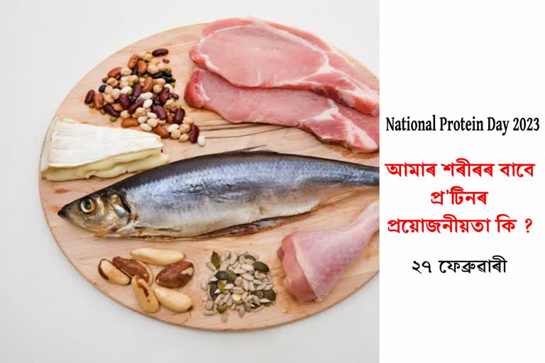 National Protein Day 2023: Protein food is necessary to stay healthy know what nutritionist says