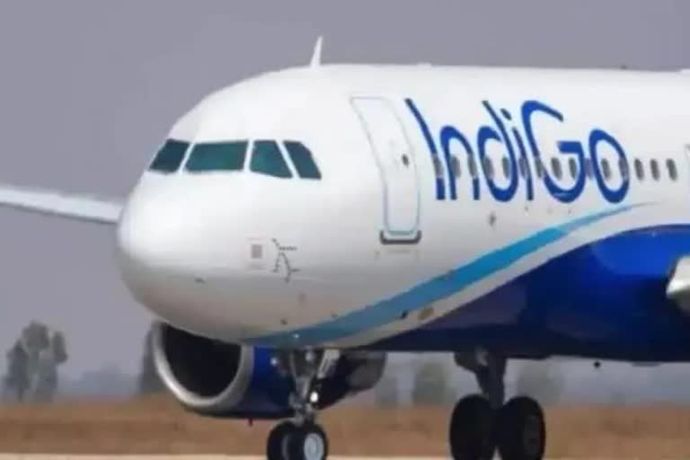 indigo flight, concept photo