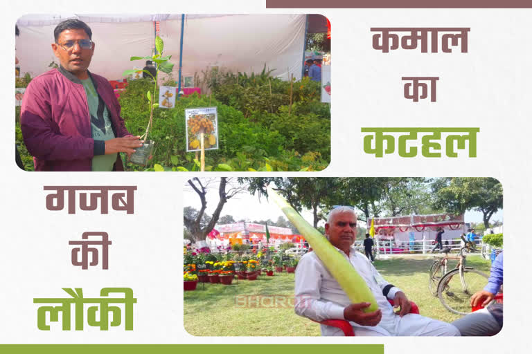 Pantnagar Kisan Mela