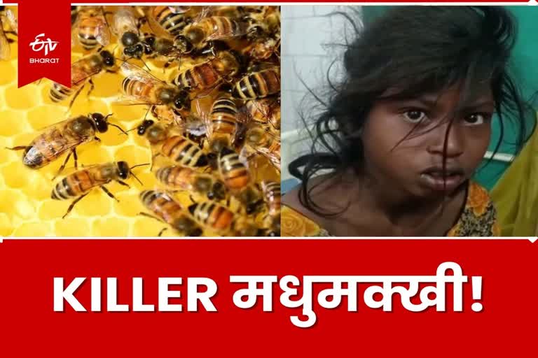 Man died and many injured in bee attack in Chatra