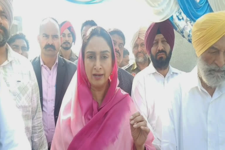 Harsimrat Kaur Badal on central and state government at Mansa