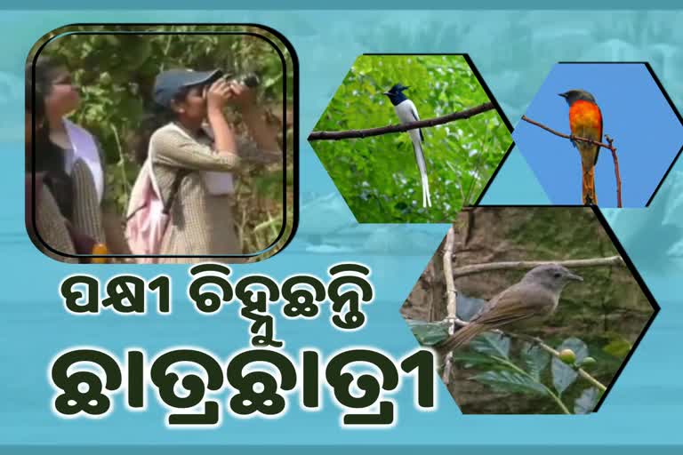 ଜଙ୍ଗଲରେ ବିଦେଶାଗତ ପକ୍ଷୀଙ୍କ ସମାଗମ