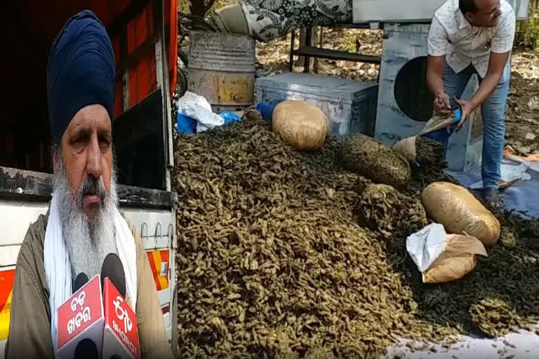 ganja seized by balangir police