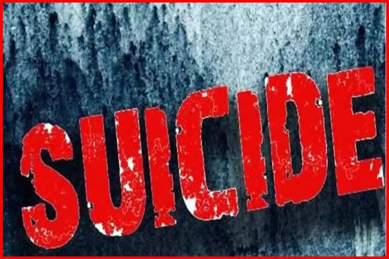 man committed suicide in Shimla