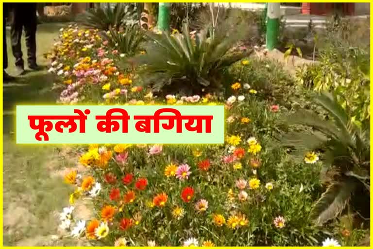 Flower Garden in Bhiwani
