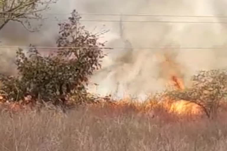 Fire in Smriti Van of Navlakha Fort
