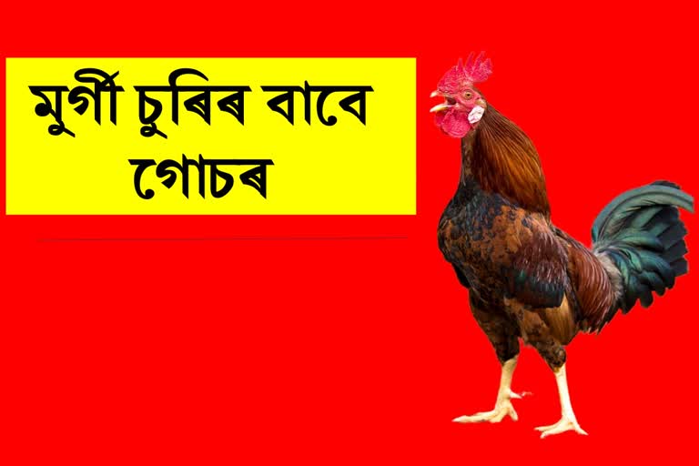 cock-theft-case-in-bilaspur-woman-reached-ratanpur-police-station-to-complain-rooster-theft