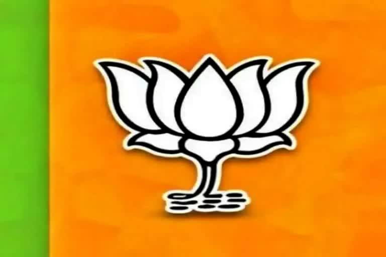 bjp symbol