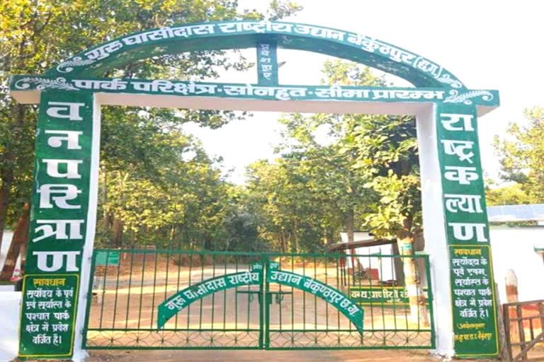 Guru Ghasidas National Park