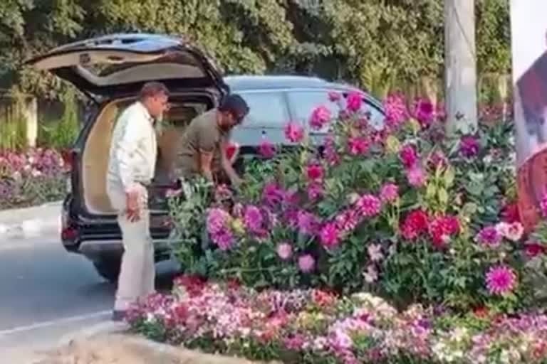 flowers theft in gurugram