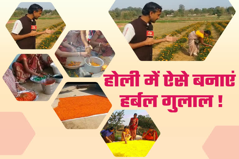 method of making herbal gulaal colour