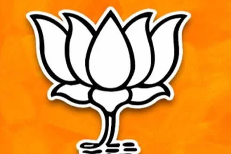 BJP flag