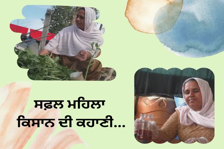 Women Farmer Rajinder Kaur, Women's Day, International Women's Day 2023
