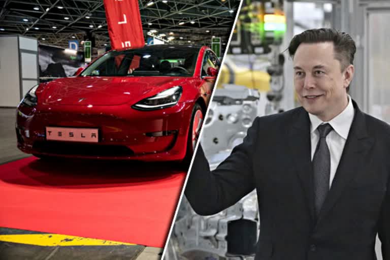 Twitter CEO elon Musk Tesla Gigafactory