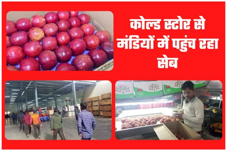 Apple Cold Store Rampur