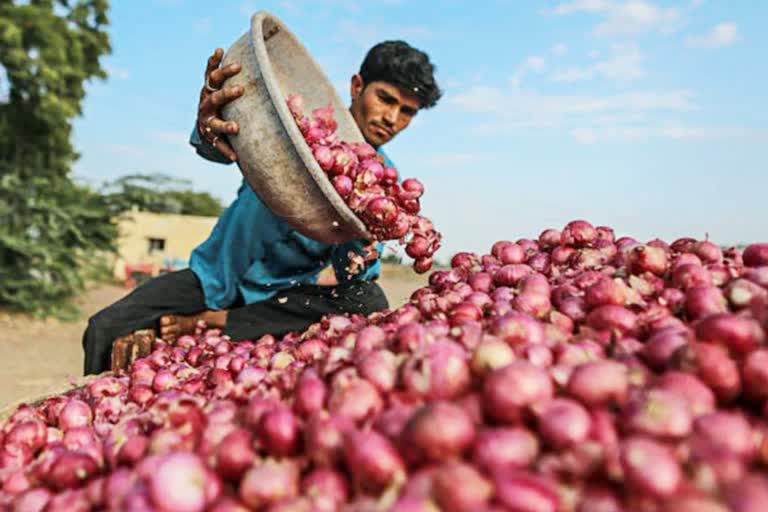 Gujarat Cabinet Meeting: સરકારે ખેડૂતોને કર્યા ખુશ, ડુંગળી બટેકાના વાવેતર પર સરવે કરવા કેબિનેટમાં લેવાયો નિર્ણય