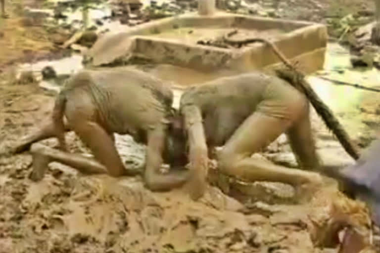 Unique tradition where Bride's brothers act like buffaloes, plays, dance and sleep in mud