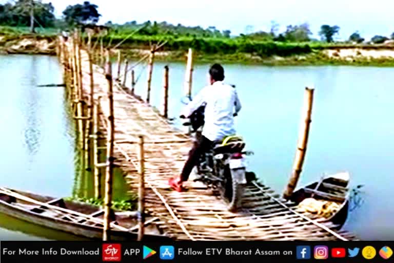 Bamboo bridge in Jonai