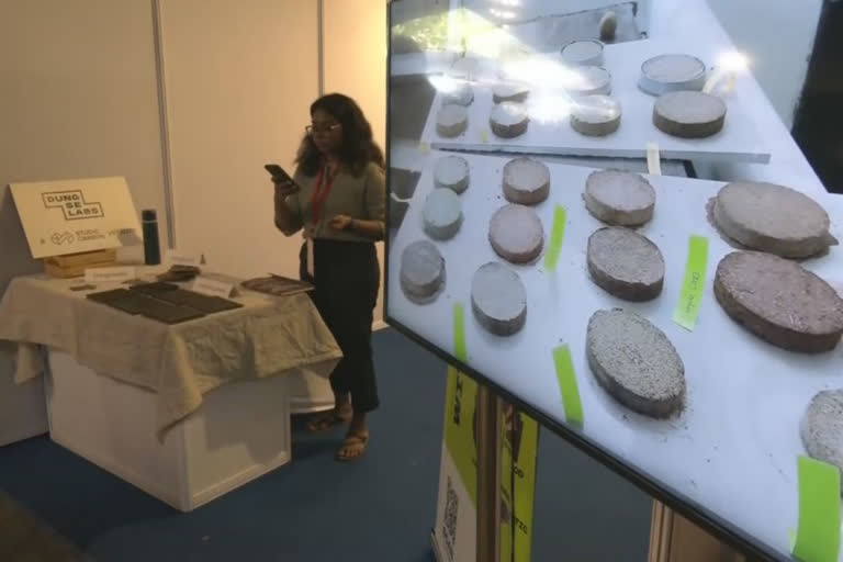 Start-up develops cow dung-based replacements for plastic and furniture