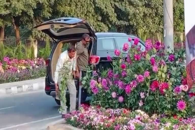Flower theft case in Gurugram