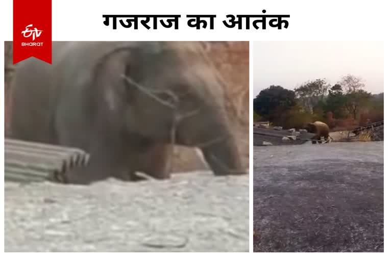 Villagers upset due to fear of wild elephants in Lohardaga