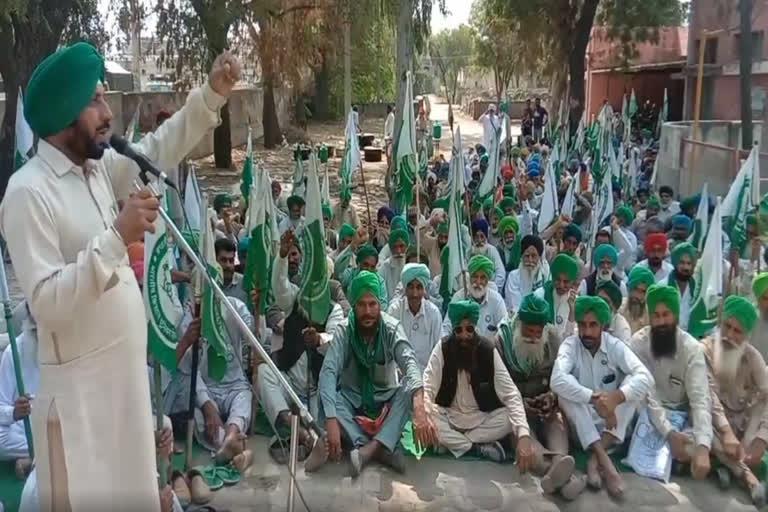 Agriculture motors are not getting electricity, farmers staged a protest in front of Axion office in mansa