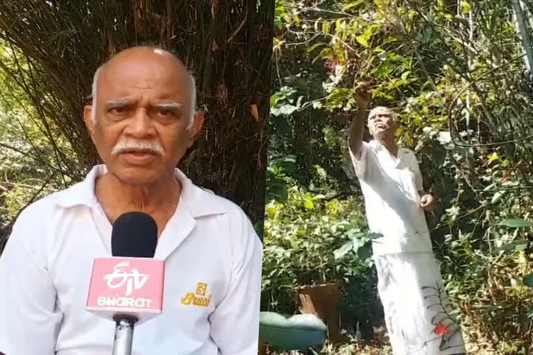 u k b nambiar  nature  u k b nambiars nature love  life story of u k b nambiar  novel department  ex navel officer  ex civil servent  latest news in kannur  latest news today  യു കെ ബി നമ്പ്യാര്‍  നോവല്‍ വിഭാഗത്തിലും  മുങ്ങിക്കപ്പലിലും  സിവിൽ സർവീസിലും  യു കെ ബി നമ്പ്യാരുടെ ജീവിതം  ഓര്‍ക്കിഡ്  ടെറേറിയം  കണ്ണൂർ ഏറ്റവും പുതിയ വാര്‍ത്ത  ഇന്നത്തെ പ്രധാന വാര്‍ത്ത