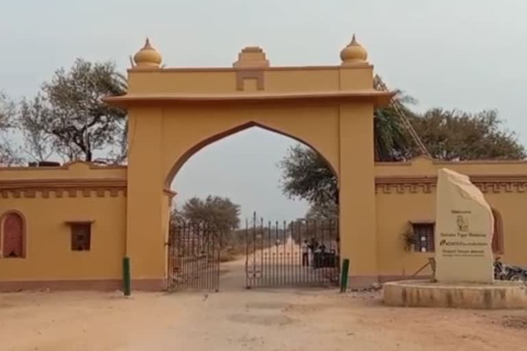 alwar sariska forest area entry