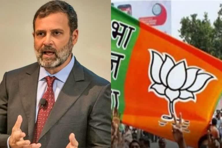 Rahul Gandhi is hallucinating: BJP on his Pegasus allegation at Cambridge