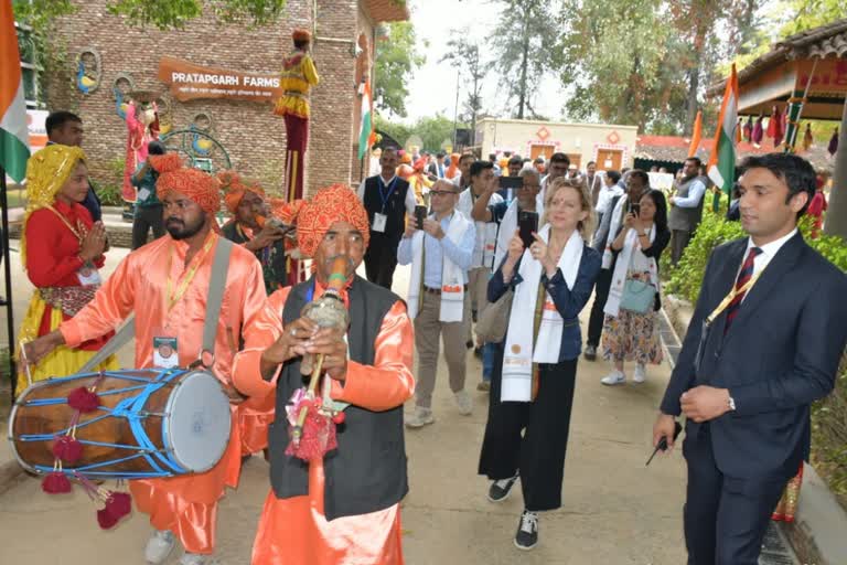 g20 delegation in jhajjar