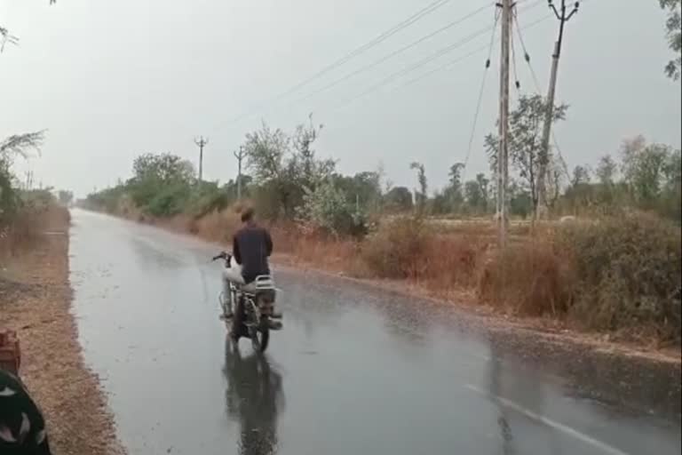 Rain in Bhavnagar: ભાવનગર શહેર નહિ પણ જિલ્લામાં માવઠું, ઘઉં અને ડુંગળી લણવામાં બાકી ખેડૂતો ચિંતિત બન્યા