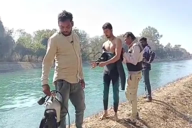 A youth of Himachal Pradesh drowned in the Bhakra canal of Rupnagar, police are investigating