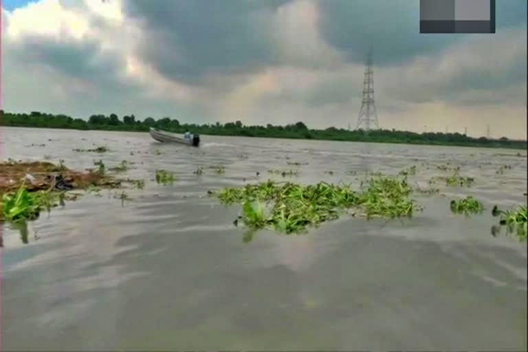 Diplomats of 11 countries visit Asita East park on Yamuna floodplain