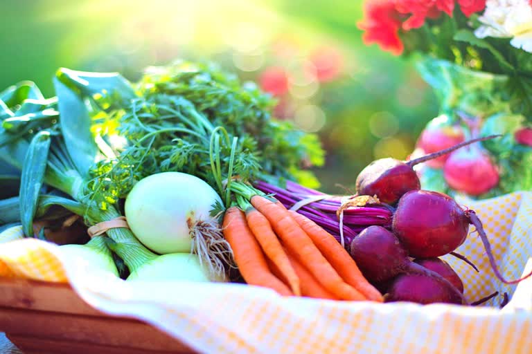 Today Vegetable Price in Raipur