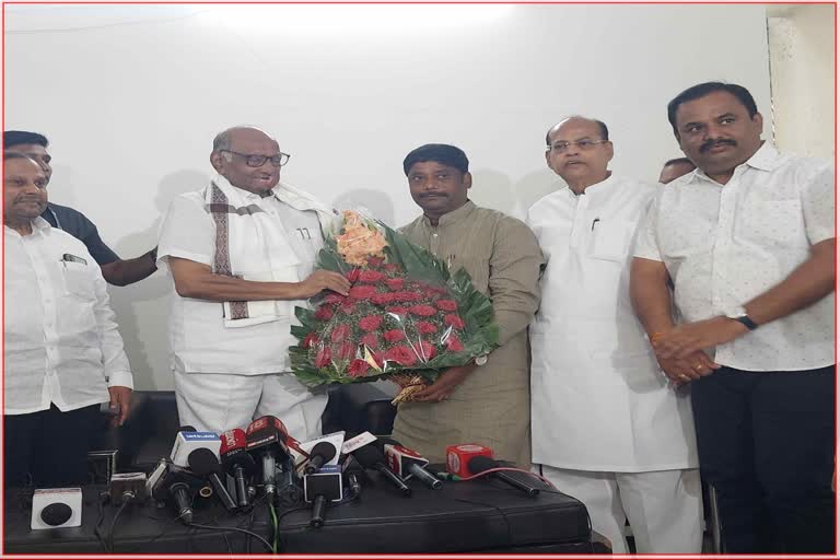 Ravindra Dhangekar Meet Sharad Pawar