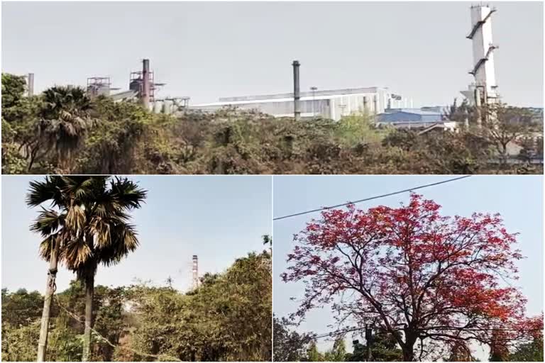 Local Ladies Protest Against Pollution at Banskopa Industrial Area in Kanksa