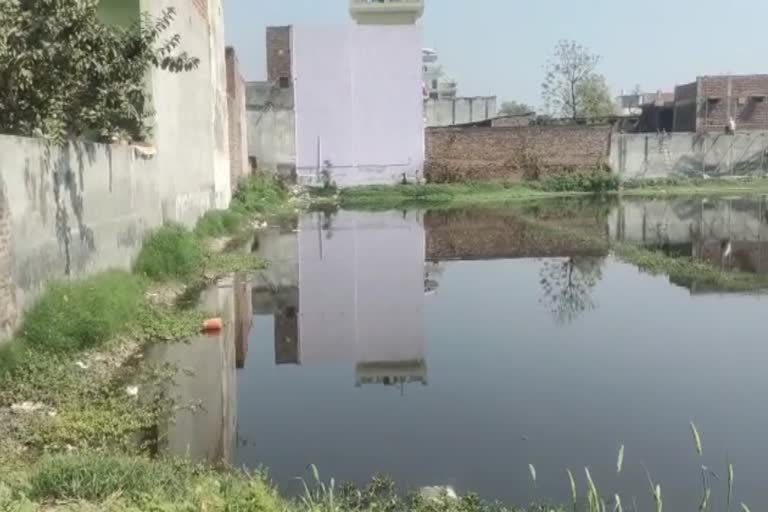 Water Logging