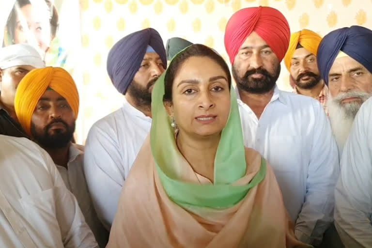 Harsimrat Badal on AAP: Harsimrat Kaur Badal criticized the government, 'If Punjab does not manage, then leave the chair'