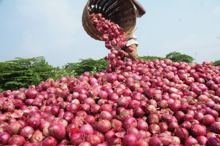Kharif Onion in Gujarat: નાફેડ ગુજરાતમાં ખરીફ ડુંગળીની ખરીદી કરશે શરૂ