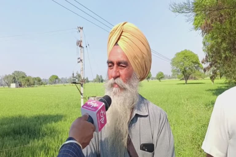 Farmers have big expectations from Bhagwant Mann government's first budget