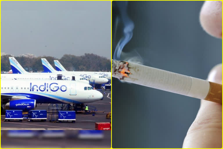 The girl smoke cigarettes in the toilet of the aircraft