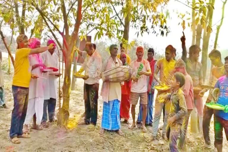 Holi with trees and plants in Bagaha