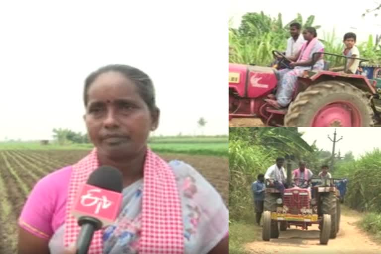 lady farmer special story in krishna district